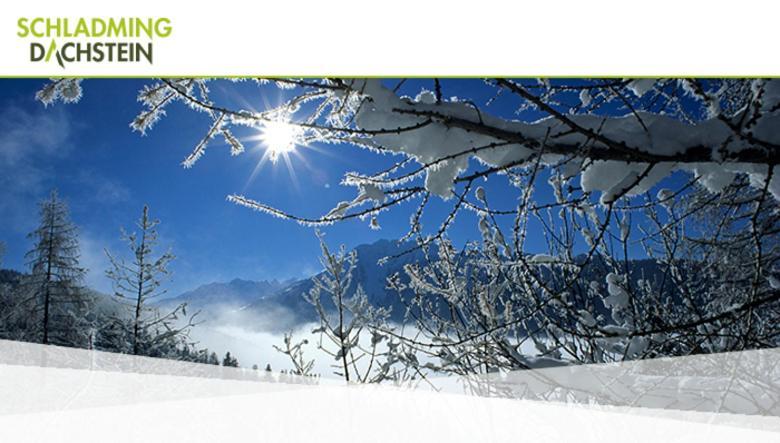 Hotel Vitaler Landauerhof Schladming Exteriör bild