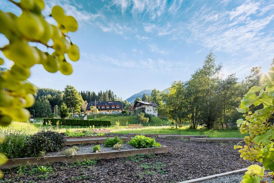 Hotel Vitaler Landauerhof Schladming Exteriör bild